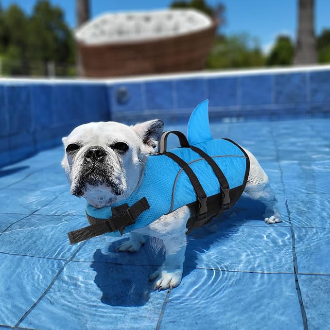 Queenmore Small Dog Life Jacket,Shark Dog Life Vest for Swimming,Puppy Light Life Preserver for Boating Kayaking Canoeing,Pet Lifesaver with High Buoyancy,Rescue Handle,Leash Hook (Peacock Blue,S)