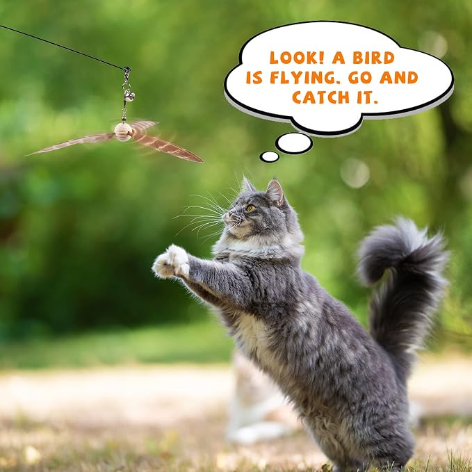 JXFUKAL Cat Wand Toys, Interactive Cat Toys with 3 Feather Refills, 29'' Flexible Steel Wire, Sturdy Wood Handle & Bell for Kitty Kitten, Cat Toys for Indoor Cats Teaser Cat String Toy - Image 6