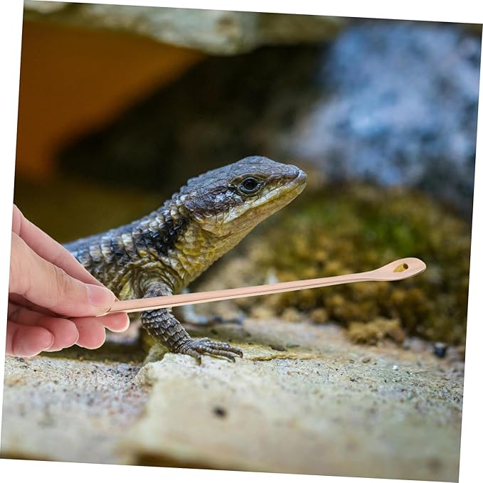 Happyyami 2pcs Reptile Feeding Spoon Ergonomic Handle Stainless Steel Pet Food Scoop for Lizard and Small Animals Easy to Use and Feeding Tool