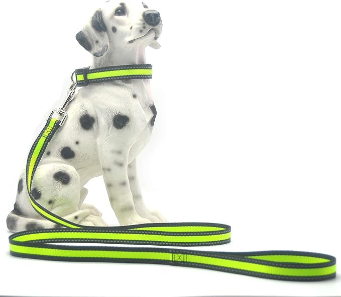 Mile High Life Night Reflective Double Adjustable Band Nylon Small Puppy Pet Dog Combo Collar Leash and Harness Set (Reflective Edge Lime Green, Large (Pack of 3))