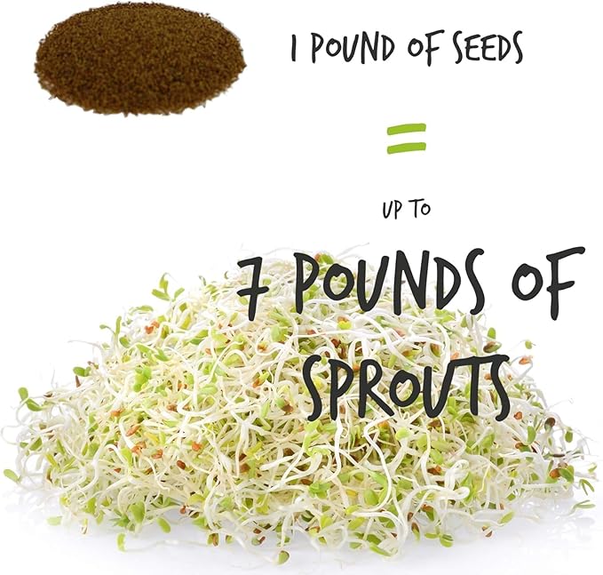 Handy Pantry Organic Birdseed - 5 Lb - Sprouting Bird Seed Mix for Small, Medium & Large Birds- Feed for Songbirds, Parakeets, Parrots, etc