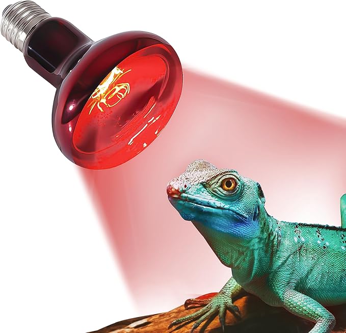 50W Infrared Heat Lamp Bulb E26 Base Red Basking Spot Light for Reptile Terrarium, Non-Disruptive Night Heater for Bearded Dragons Snake Turtle and Amphibian 2 Pack