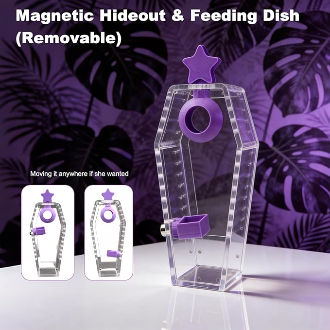 Jumping Spider Enclosure Jumping Spider Enclosure Kit Desktop Habitat Small Reptile Glass Terrarium Insect Accessory Set with Water Container Hiding Area(Black)