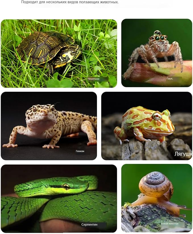 Turtle Water Enclosure | Turtle Pool | Turtle Swimming Pool | Turtle Habitat | Turtle Water Enclosure |Turtle Soaking Pool | Turtle Pool | Turtle Water Feature | Aquatic Turtle Pool | Turtle bask