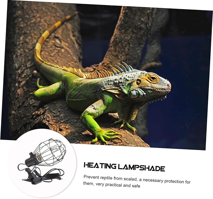 DOITOOL 1pc Reptile Lamp Cover Scald for Heating Reptiles Sturdy Clamp Fixture for Ceramic Bulbs Night Lamps Safe Convenient Accessory for Terrariums