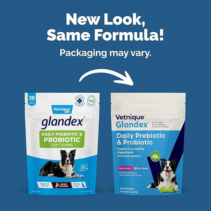 Vetnique Glandex Daily Probiotics for Dogs with Prebiotics to Support Gut Health, Diarrhea with Fiber and Digestive Enzymes, Probiotic Chews or Powders (30ct Chews, Probiotic Bacon Chews)