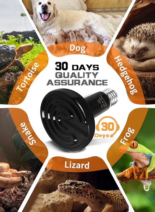 WUHOSTAM 75W 2 Pack Ceramic Reptile Heat Lamp, Pet Heat Emitter Bulbs, No Light Emitting Brooder Coop Heater for Reptile and Amphibian, Snake, Turtle, Lizard, Bearded Dragon, Black