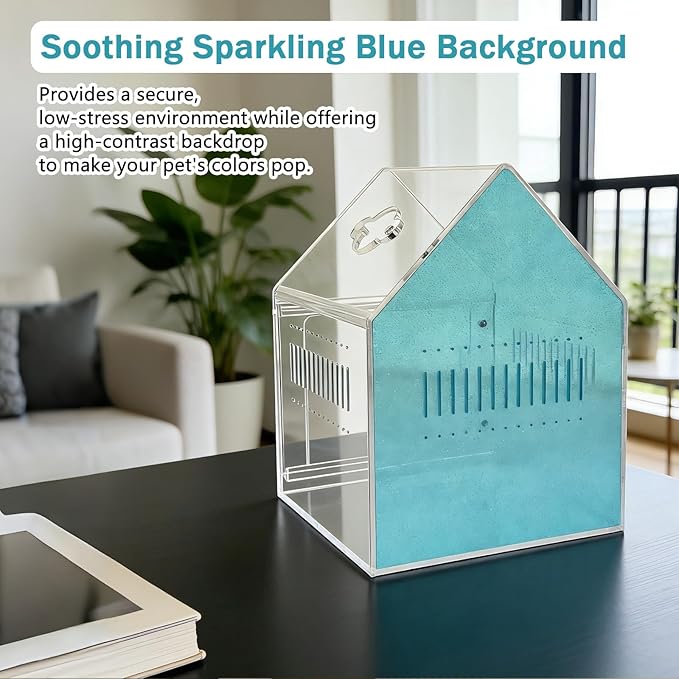 Magnetic Acrylic Spider Enclosure 5.3x5.3x7.3 Inch, House Shape Terrarium with Blue or Purple Background for Jumping Spiders, Tarantula Slings & Mantis, Escape-Proof Habitat (Blue)