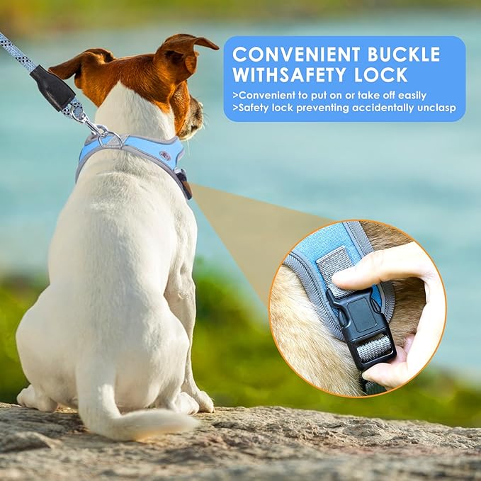 Dog Harness and Leash Set, No Pull Saddle Style Pet Harness, Breathable Mesh Adjustable Reflective Dog Vest for Dogs and Cat Medium Small Harness 2 D-Rings (Blue, S)