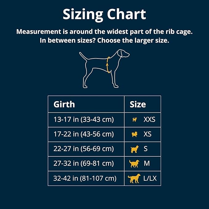Ruffwear, Front Range Dog Harness, Reflective Soft Padded Everyday Harness with Dual Leash Clips, Adjustable and Lightweight Fit for Training or Walking for All Dogs, River Rock Green, XX-Small