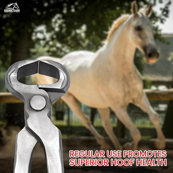 Equine Care 10-Inch Miniature Hoof Nipper | Chrome Vanadium Steel, No-Spring Farrier Tool for FOAL, Shetland, Miniature, Donkey & Pony Hoof Care | Ergonomic Grip & Precision Blades.