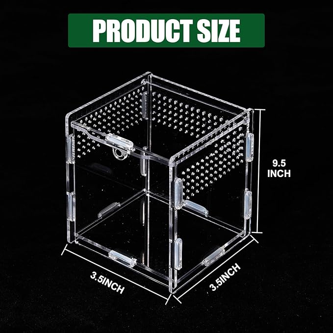 Transparent Jumping Spider Enclosure, Acrylic Reptile Terrarium Enclosure, Small Reptiles Habitat Tank Breeding Box for Tarantula Insect (Small)