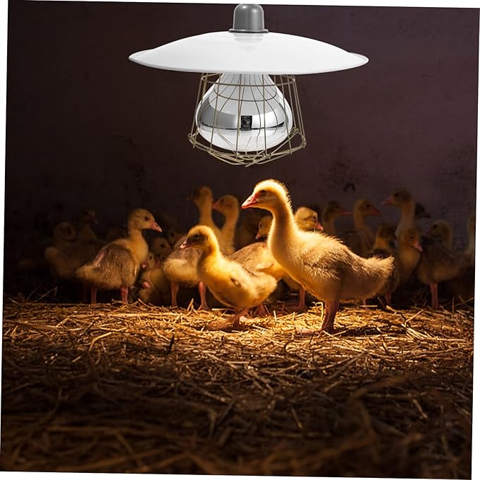 BESPORTBLE Poultry Heat Lamp Livestock Heater Pet Warmth Light Heat Preservation Lamp Clamp for Creatures