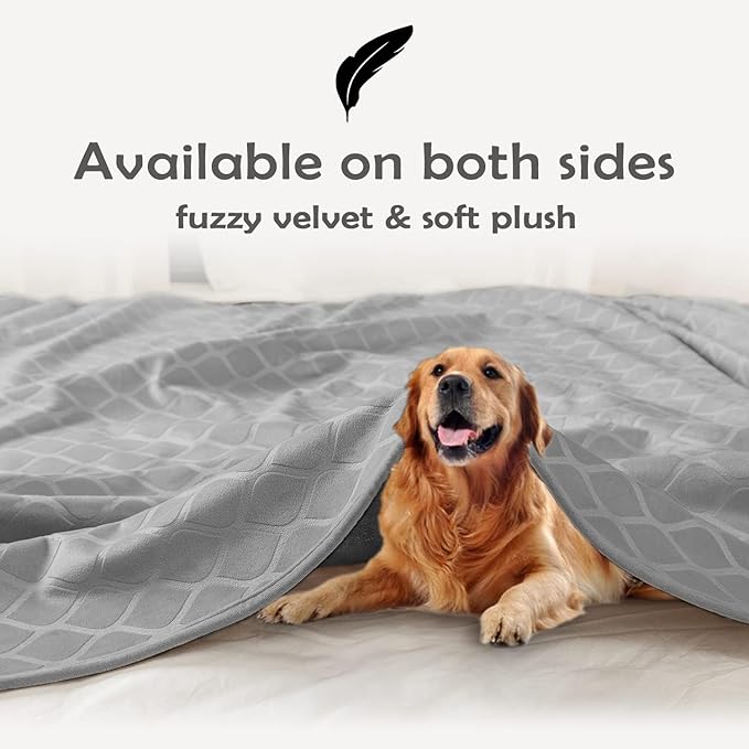 fuguitex Waterproof Dog Blanket Bed Cover Dog Crystal Velvet Moroccan Fuzzy Cozy Plush Pet Blanket Throw Blanket for Couch Sofa(52 * 82 inch, Light Grey+Grey)