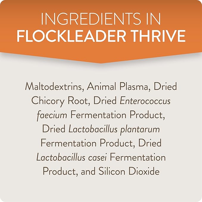 FlockLeader Thrive, Daily Probiotic & Prebiotic Water Supplement for Chickens 8+ Weeks Old, 8 oz (Pack of 2)