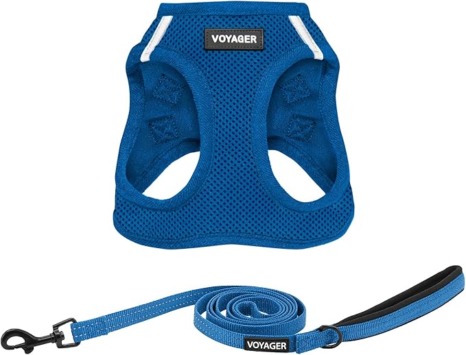 Best Pet Supplies Voyager Step-in Air All Weather Mesh Harness and Reflective Dog 5ft Leash Combo with Neoprene Handle, for Small, Medium and Large Breed Puppies - Set (Royal Blue), Small