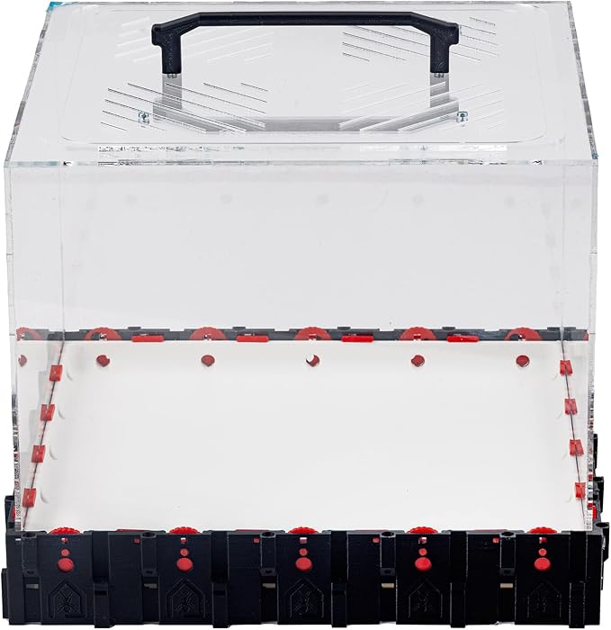 Anthouse.ES - 3D Modular Anthill Foraging Box - QBIK Giga Foraging Box Model - 30.78x30.78x16.70 cm - Ant Colonies - Terrarium