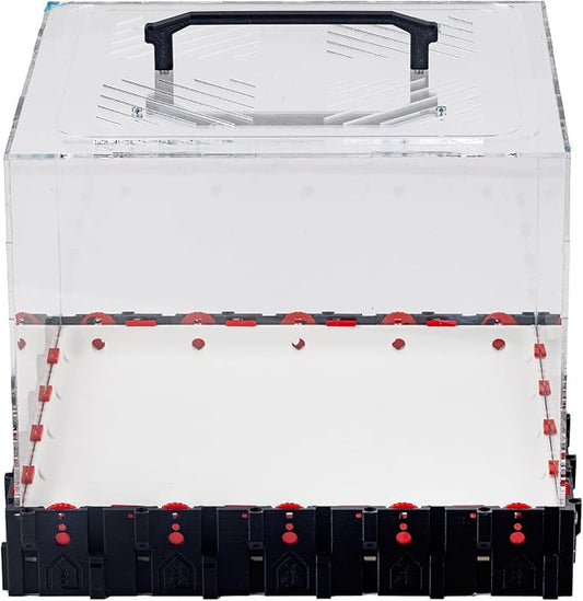 Anthouse.ES - 3D Modular Anthill Foraging Box - QBIK Giga Foraging Box Model - 30.78x30.78x16.70 cm - Ant Colonies - Terrarium