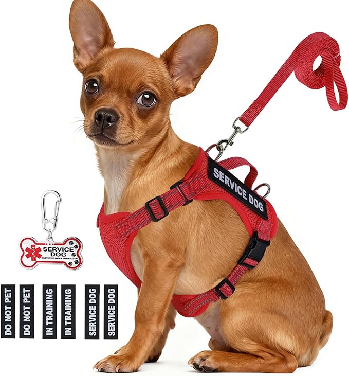 Service Dog Vest for Small Breed Dogs with ID Tag – Lightweight Puppy Harness and Leash Set with 6 PCS Patches, Ideal Service Animal Vest for Training, Complete Service Dog Gear, Red, L