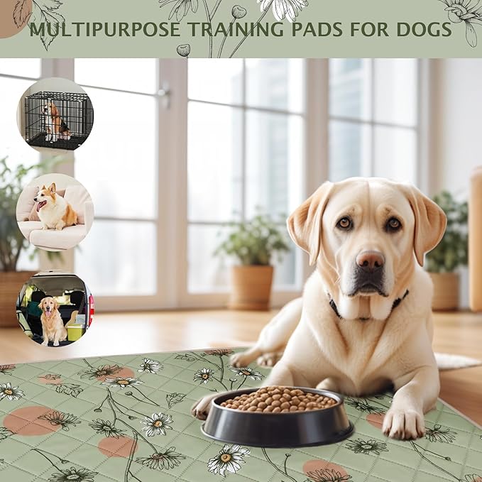 IEUUMLER Washable Pee Pads for Dogs, 2 Pack Non-Slip & Waterproof Whelping Pad, Reusable Puppy Potty Training with Fast Absorbent for Playpen EU007 (Grass Green Daisy, 31"X36"-2pcs)