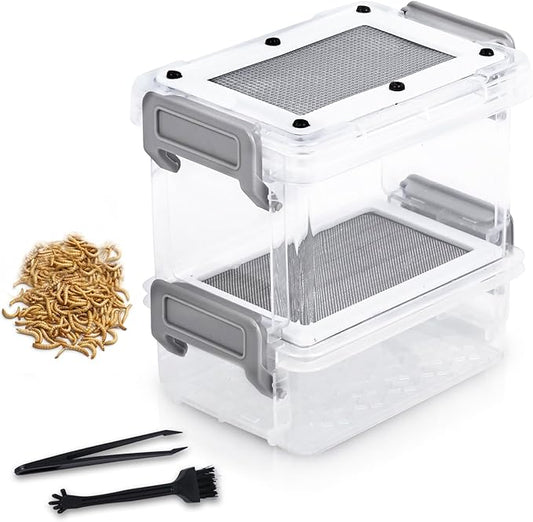 Mealworm Breeder Kit - Live Mealworm Rearing & Feeder for Reptiles, Turtles, Bearded Dragons, Leopard Geckos, Birds and Chickens (0.5-1cm)