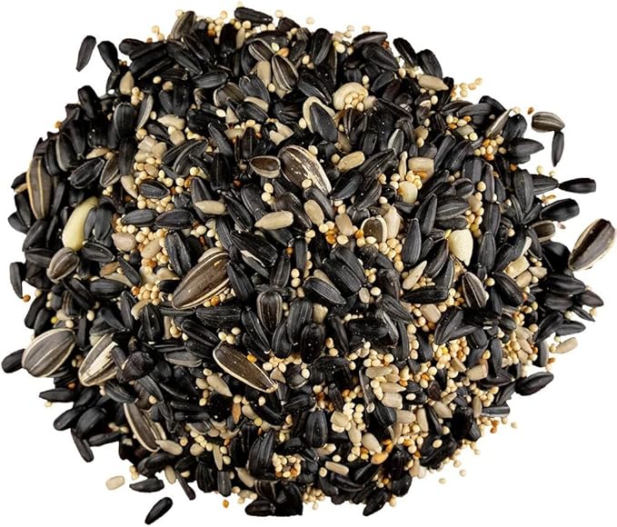 Classic Bird Seed (40 Pounds, Backyard Blend)