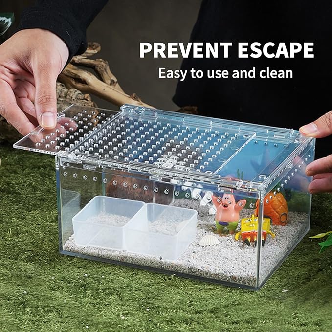 Reptile PC Terrarium 8" x 6" x 4", Tarantula Enclosure,Spider Tank Starter Kit, Hermit Crab Habitat,Lizard Enclosure,Insect Housing,Jumping Spider Cage (Small)