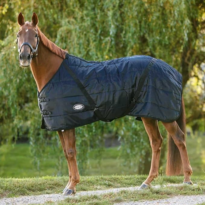 Country Pride Sentinel Channel Quilt Horse Stable Blanket, Midweight Open Front, 420D Nylon Outer Shell, 250g Poly-Fill Insulation, Wither Protection, Adjustable Leg Straps, Bias Surcingle (72,Black)