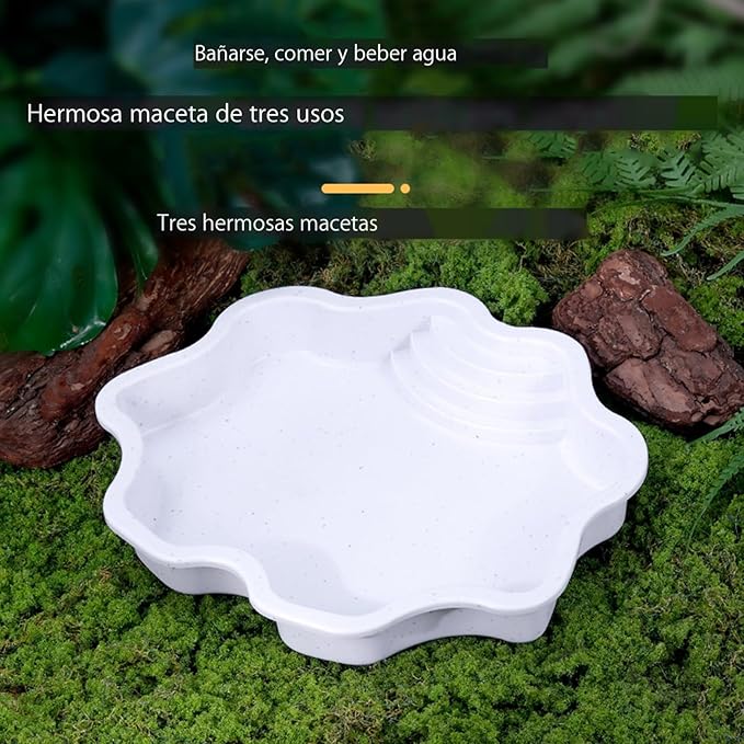 Turtle Water Enclosure | Turtle Pool | Turtle Swimming Pool | Turtle Habitat | Turtle Water Enclosure |Turtle Soaking Pool | Turtle Pool | Turtle Water Feature | Aquatic Turtle Pool | Turtle bask