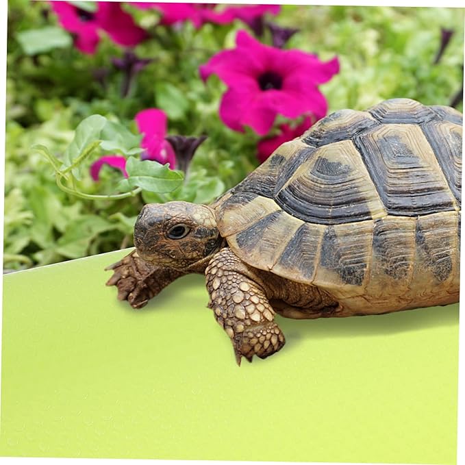Eva Reptile Substrate Carpet for Terrariums Bearded Dragon Tank Bedding Lizard Snake Tortoise