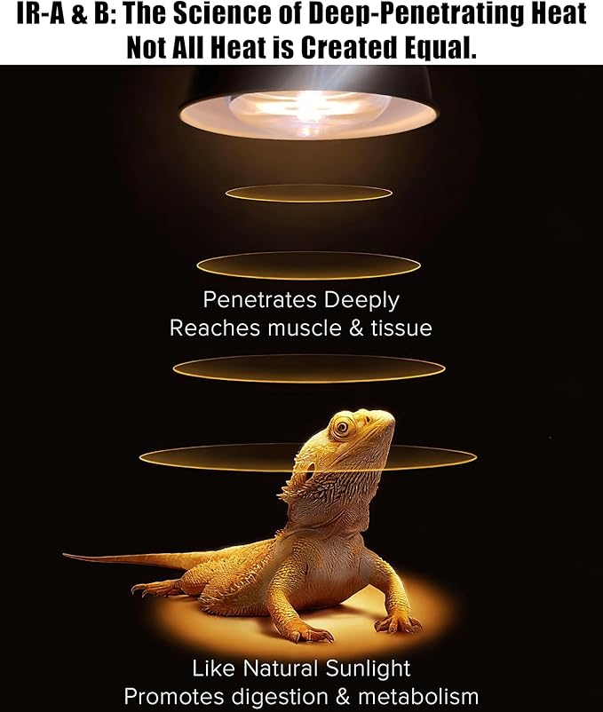 72W Halogen Heat Lamp for Reptiles - Professional Daylight Intense Basking Bulb, IR-A Deep Heat & Simulated Natural Sunlight, 2 Pack for Bearded Dragon, Turtle, Lizard, Snake, Gecko & Chicken