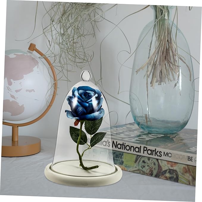 Garneck 1set Preserved Flower Glass Dome Base Decorative Flower Display Cover for DIY Micro Landscape Ornament for Home and Parties