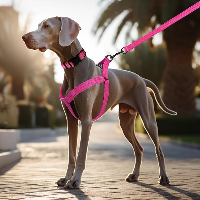 Mile High Life Night Reflective Double Adjustable Band Nylon Small Puppy Pet Dog Combo Collar Leash and Harness Set (Reflective Solid Pink, Large (Pack of 3))