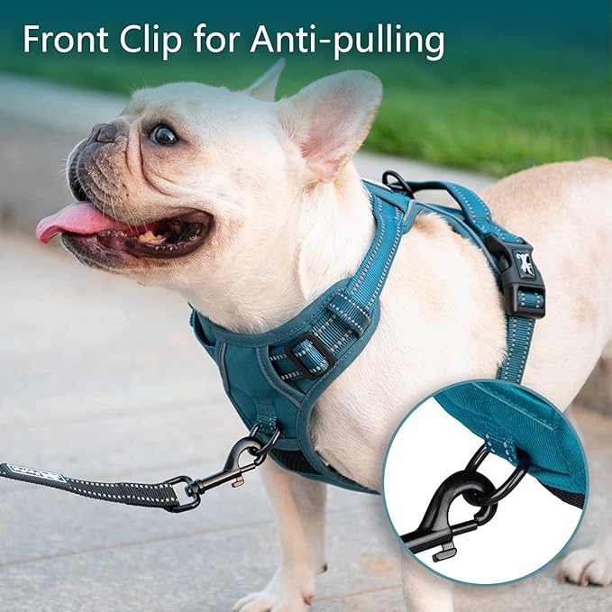 PoyPet No Pull Dog Harness, No Choke Reflective Dog Vest, Adjustable Pet Harnesses with Easy Control Padded Handle for Small Medium Large Dogs(Tumalo Teal,L)