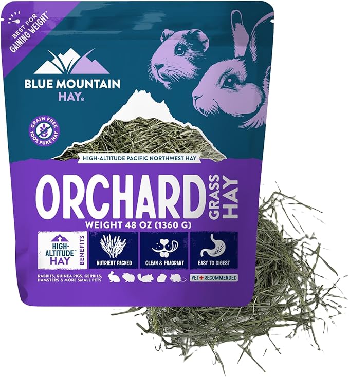 Blue Mountain Hay High Altitude Orchard Grass Hay Pet Food (48 oz) - Fresh, Soft & Leafy, High Fiber Nutrition - Sweet Aroma, Additive-Free, Supports Digestion, Dental Health & Natural Foraging