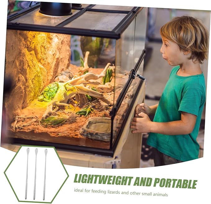 KOMBIUDA 5pcs Lightweight Reptile Food Spoons for Lizard Small Animals Portable Feeding Tool for Reptile Tanks Ergonomic Design for Convenient Handling and Balanced Nutrition