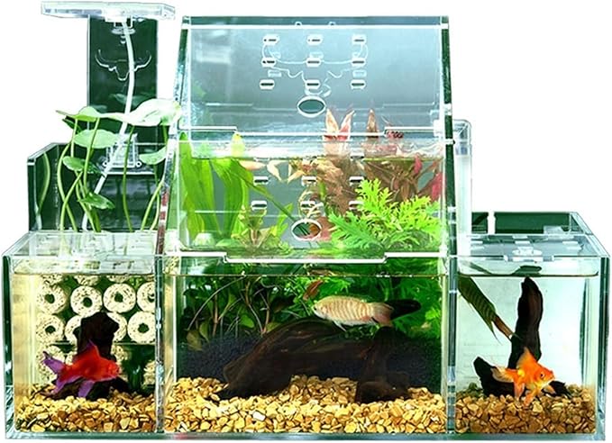 Ecological Fish Tank Desktop Breeding Hatching Special Fish Tank Isolation Box Circulating Water Filtration Pump Home Office Fish Tank Decoration
