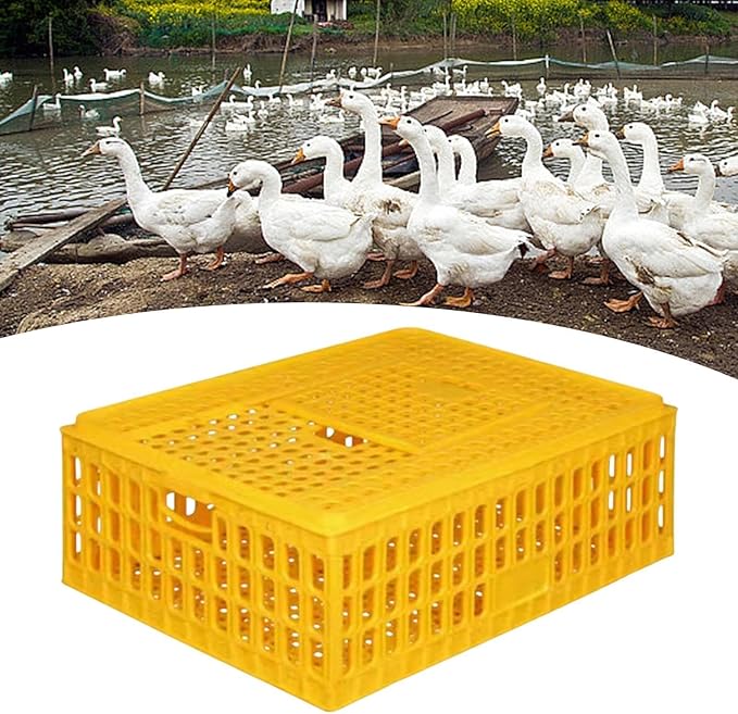 Chicken Carrier Box for Safe Transport of Hens and Pigeons, 75x55x19cm
