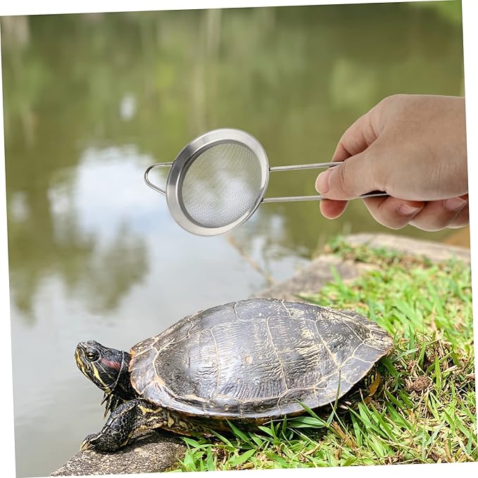Mipcase 6pcs Stainless Steel Reptile Sand Shovel for Tortoise and Lizard Litter Cleaning Fine Mesh Sifting Tool for Effortless Waste Removal and Bedding Maintenance
