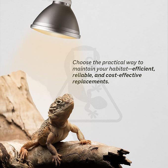 Reptile Systems Replacement Bulb Eco Halogen White Spot Lamp – White 100w, 2 Count – Replacement Bulb Kit for Reptiles & Amphibians – Light for Tanks, Vivariums & Crested Geckos