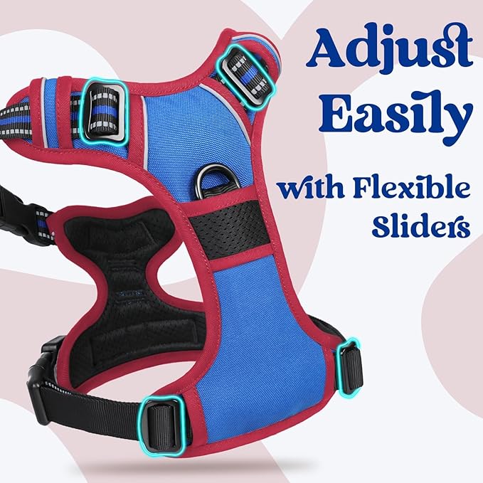 rabbitgoo Dog Harness Small Sized, No Pull Pet Harness with 3 Buckles, Adjustable Soft Padded Vest with Control Handle, Walking Reflective Pet Vest for Small Dogs, Royal Blue & Red, S