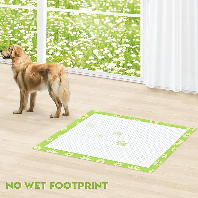 CROCI Pee Pads for Dogs 30x36in Daisy Pattern, Puppy Pads with Adhesive Tabs Super Absorbent Up to 10 Cups, Disposable (40 Counts)