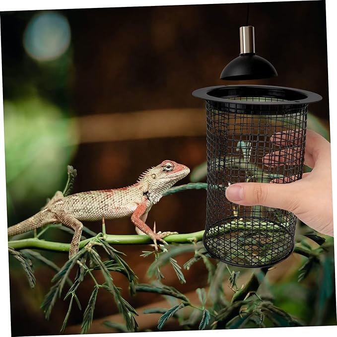 Gadpiparty Reptile Heat Pad Lampshade Cover Scald Protection for Reptile Tank Easy Install Pet Supplies