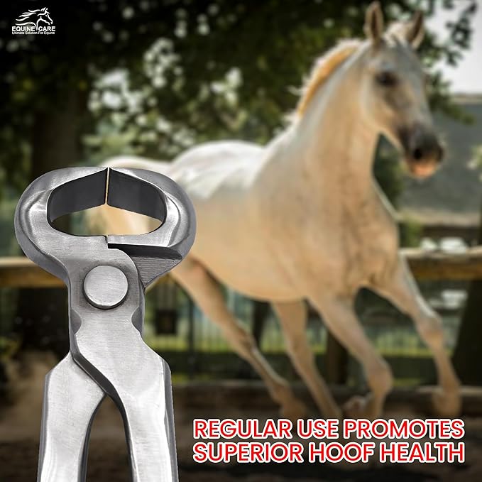 Equine Care Hoof Nippers – Professional Farrier Tools | Chrome Vanadium Steel Hoof Trimmers, Hoof Cutters & Hoof Clippers 12" for Horses, Ponies, Foals, Donkeys & Livestock (12″ Hoof Nipper)