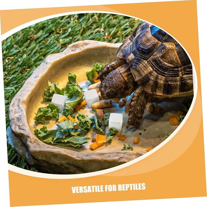 DECHOUS 30pcs Natural Mineral Block: Suitable for Tortoise Frog Lizard Chameleon Provides Essential Microelements Promotes Healthy Growth for Reptile Pets Turtle Accessories