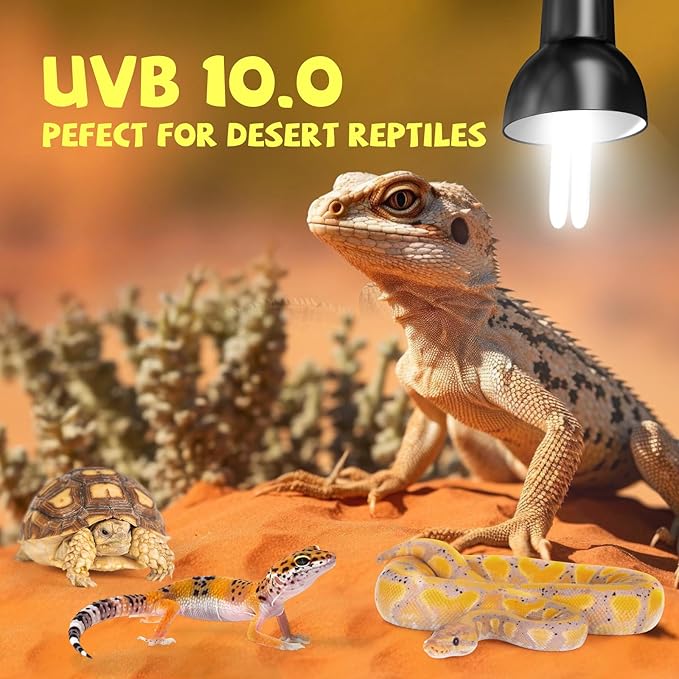 GlowUp UVB 10.0 Reptile Light, 13W Desert Reptile Light for Reptiles Compact Fluorescent UVB Bulbs for Bearded Dragon, Lizard, Snakes (2-Pack)