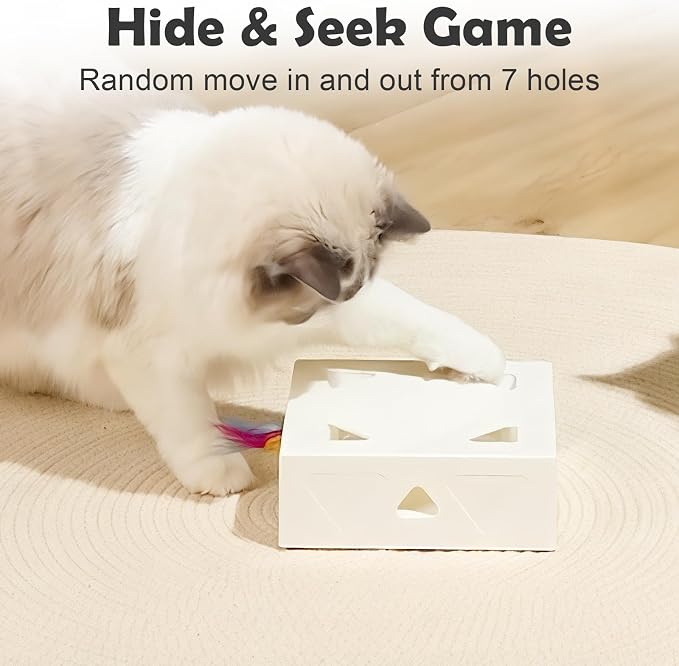 Interactive Cat Toys -Migibox for Indoor Bored Cats, Automatic Pop Out Feathers from 7 Holes Randomly, Motion Activated, USB Rechargeable (Purple Skin) - Image 3