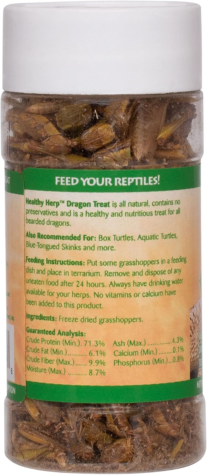 Healthy Herp Dragon Treat Grasshoppers - All Natural, Nutritious Turtle Food, Bearded Dragon Tank Accessories - for Bearded Dragons, Box Turtles, Aquatic Turtles - 0.56 oz (16g)