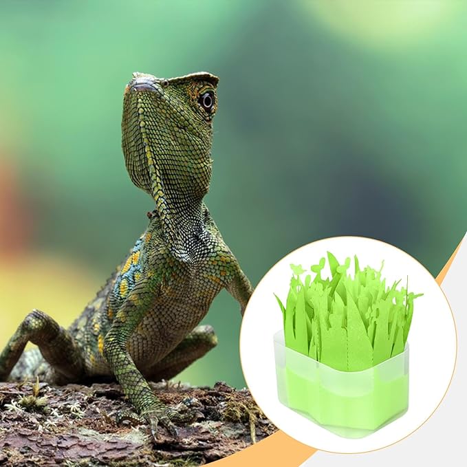 for Reptiles, for Artificial Plants, Humidification System for Amphibians, Green