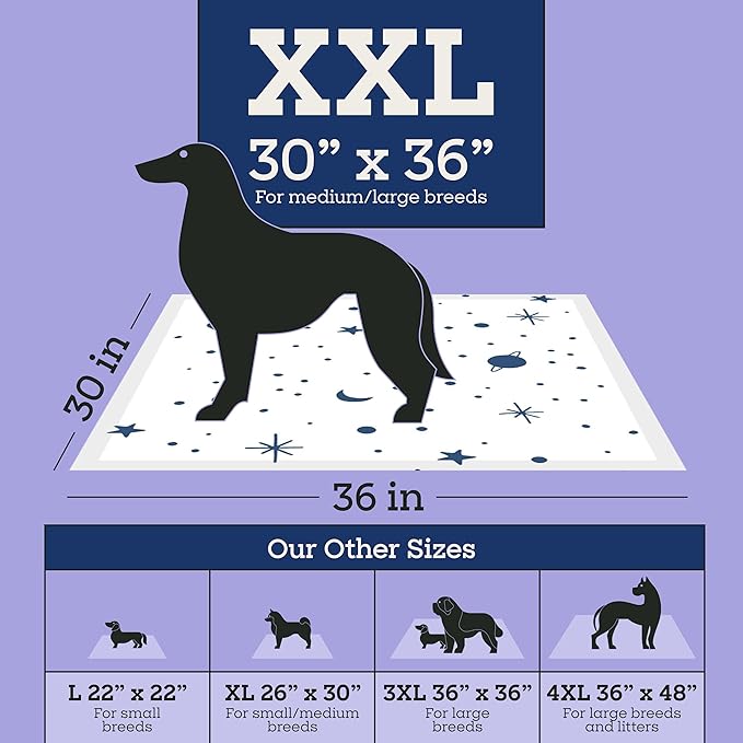 Pet Life Unlimited Overnight XXL Puppy Pads for Dogs, Potty Training Pee Pads, 30 Count, 30" x 36", Leak-Proof, Super Absorbent, Quick-Dry Overnight Protection, Made in USA